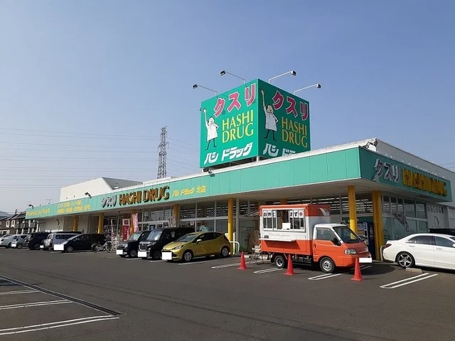 ハシドラッグ北店まで300m