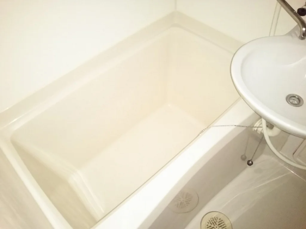 同タイプの写真です。