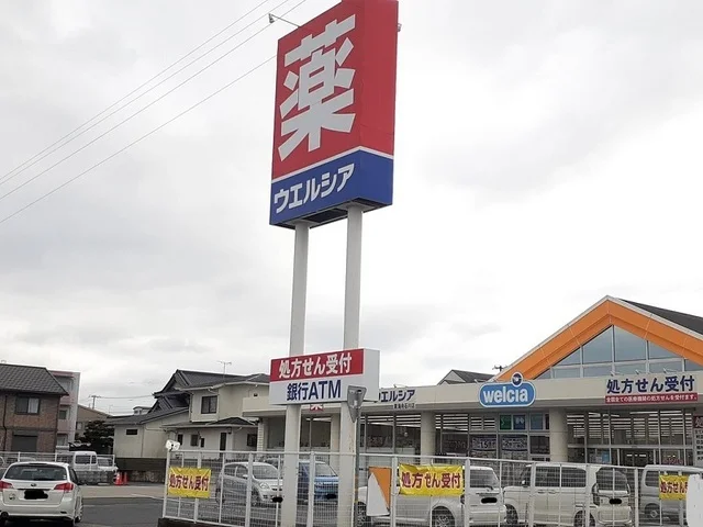 ウェルシア　東海舟石川店まで1100m