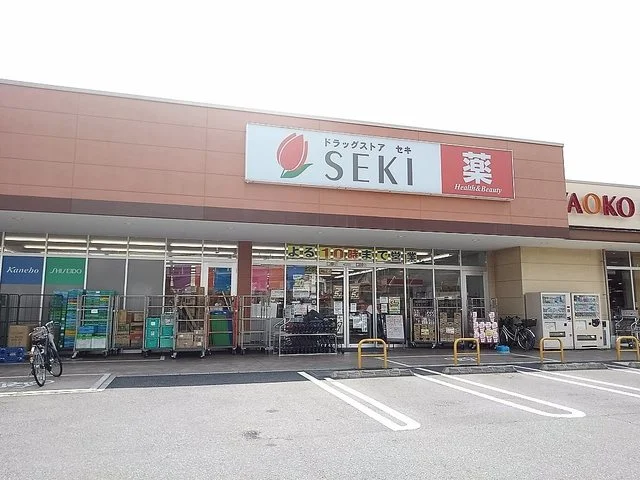 ドラッグストアセキ草加原町店まで650m