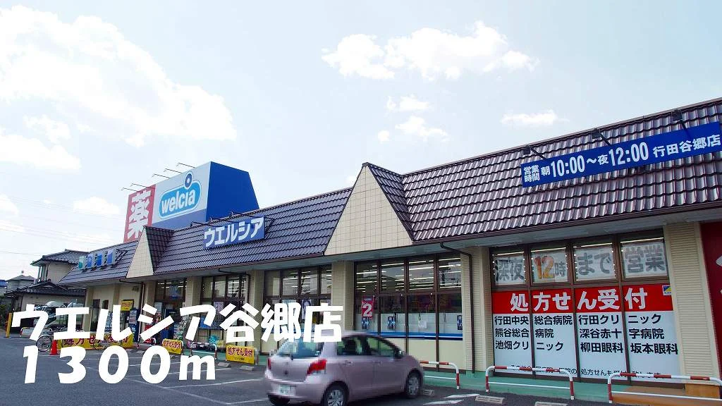 ウエルシア谷郷店まで1300m