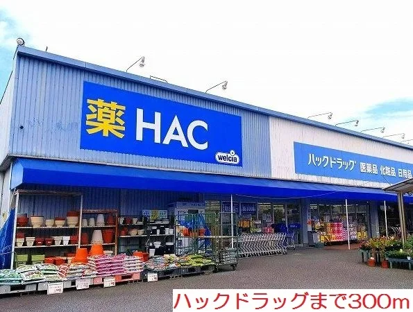 ハックドラッグまで300m