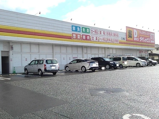ダイレックス　三潴店まで1210m