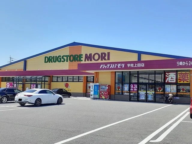 ドラッグストアモリまで300m