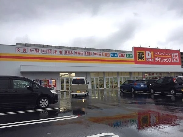 ダイレックス 下曽根店まで700m