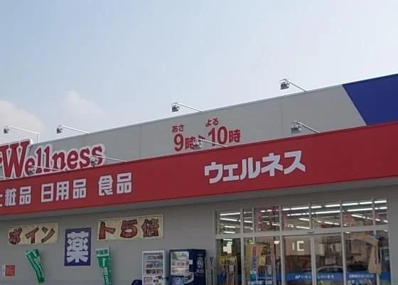 ウェルネス 角盤店まで1000m