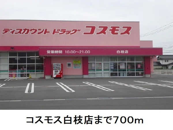コスモス白枝店まで700m