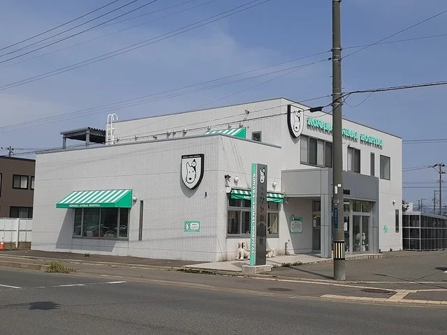 こなか動物病院まで956m