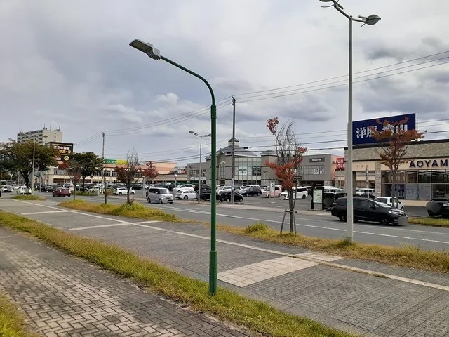 ドリームタウンＡＬｉまで2500m