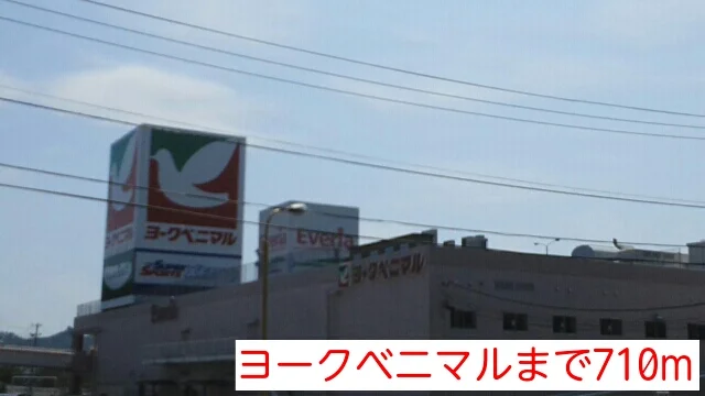 ヨークベニマルまで710m