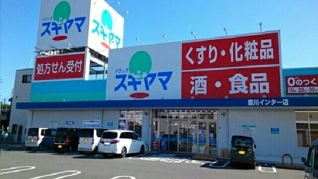 ドラッグスギヤマ豊川インター店まで400m