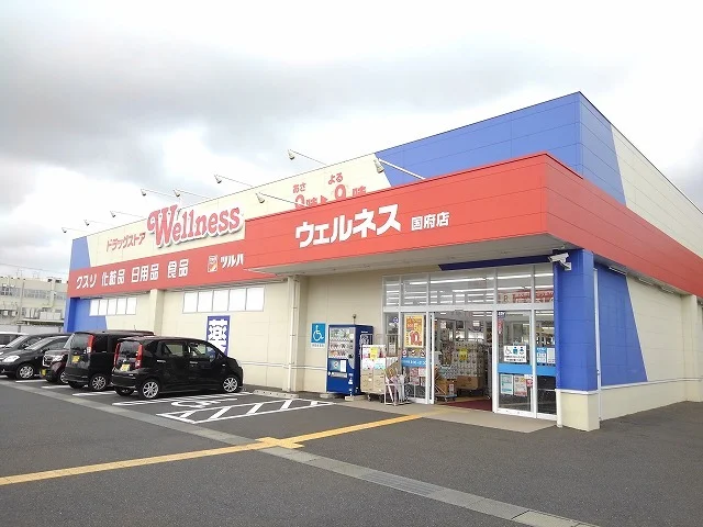 ウェルネス国府店まで500m
