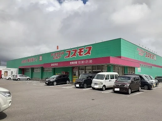 コスモス共栄店まで1000m