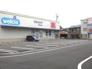 ウエルシア静岡新富町店まで1100m