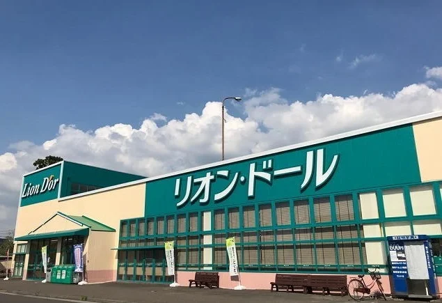 リオン・ドール結城店まで800m