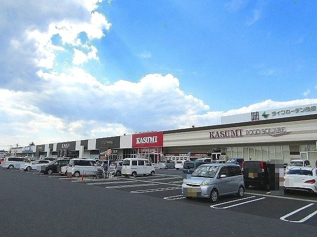 カスミ フードスクエア ライフまで1100m