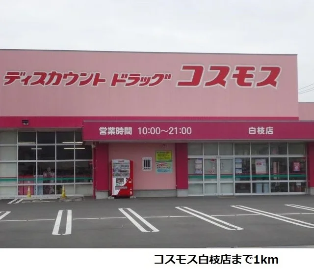 コスモス白枝店まで1000m