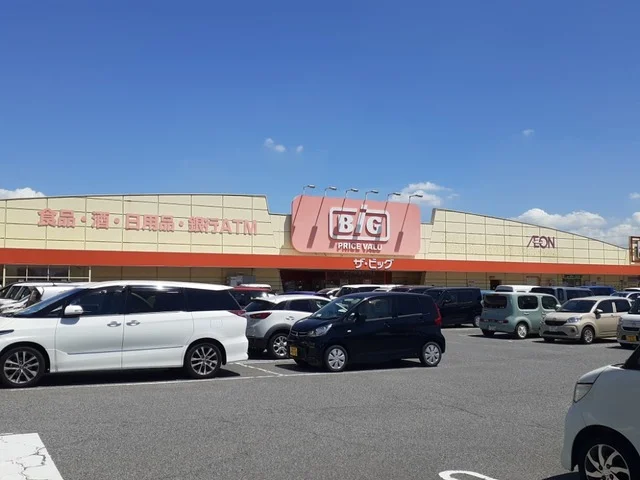 ザ・ビック連島店まで800m