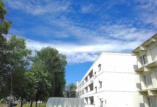 野幌若葉小学校まで950m