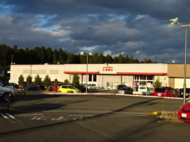 ファッションセンターしまむらまで25m