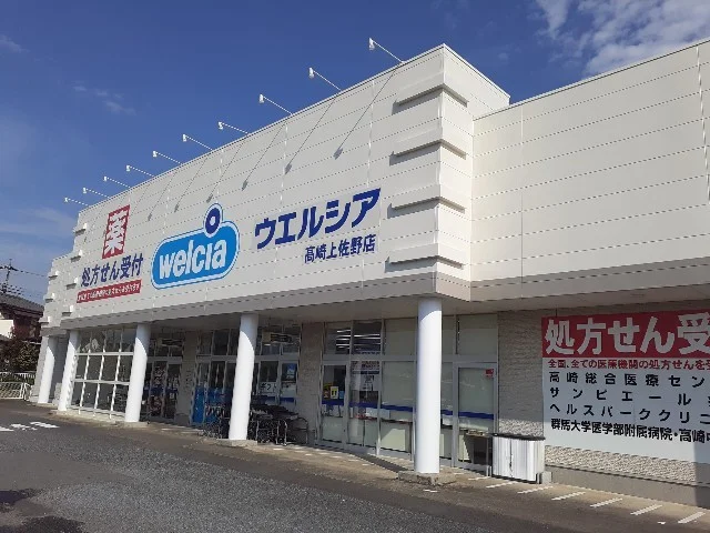 ウエルシア高崎上佐野店まで600m