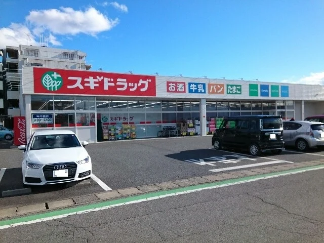 スギドラッグ中居店まで1100m