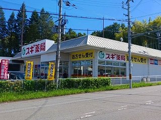 スギ薬局まで600m