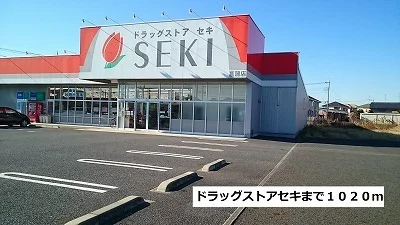 ドラッグストアセキまで1020m