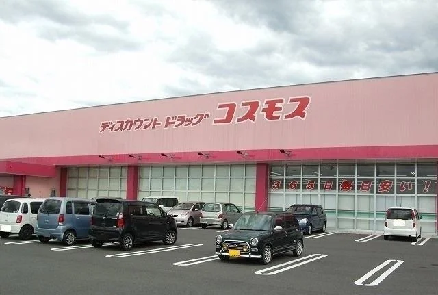 コスモス斐川店まで1300m