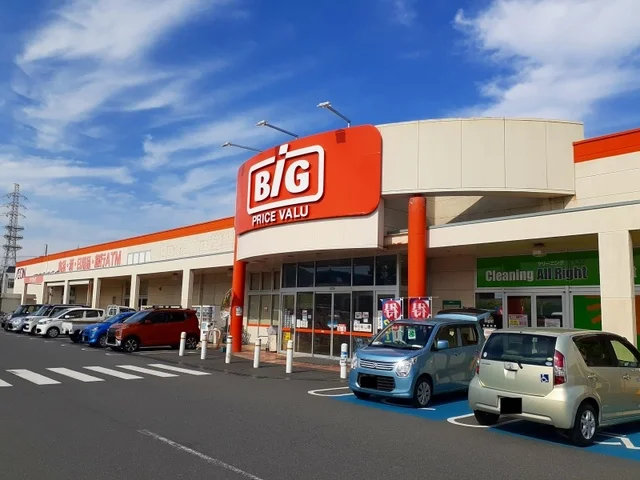 ザ・ビッグ笠岡店まで800m