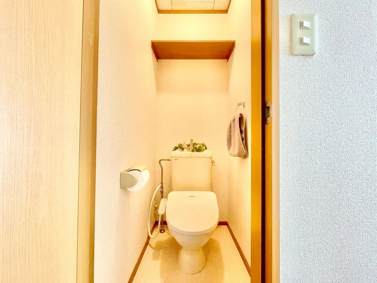 ※撮影用の観察植物・食器調理器具・雑貨類等はございません。※写真は現況優先