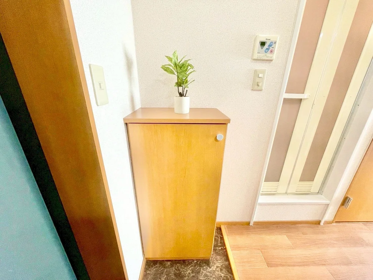 ※撮影用の観察植物・食器調理器具・雑貨類等はございません。※写真は現況優先