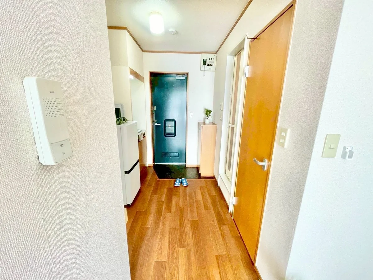 ※撮影用の観察植物・食器調理器具・雑貨類等はございません。※写真は現況優先