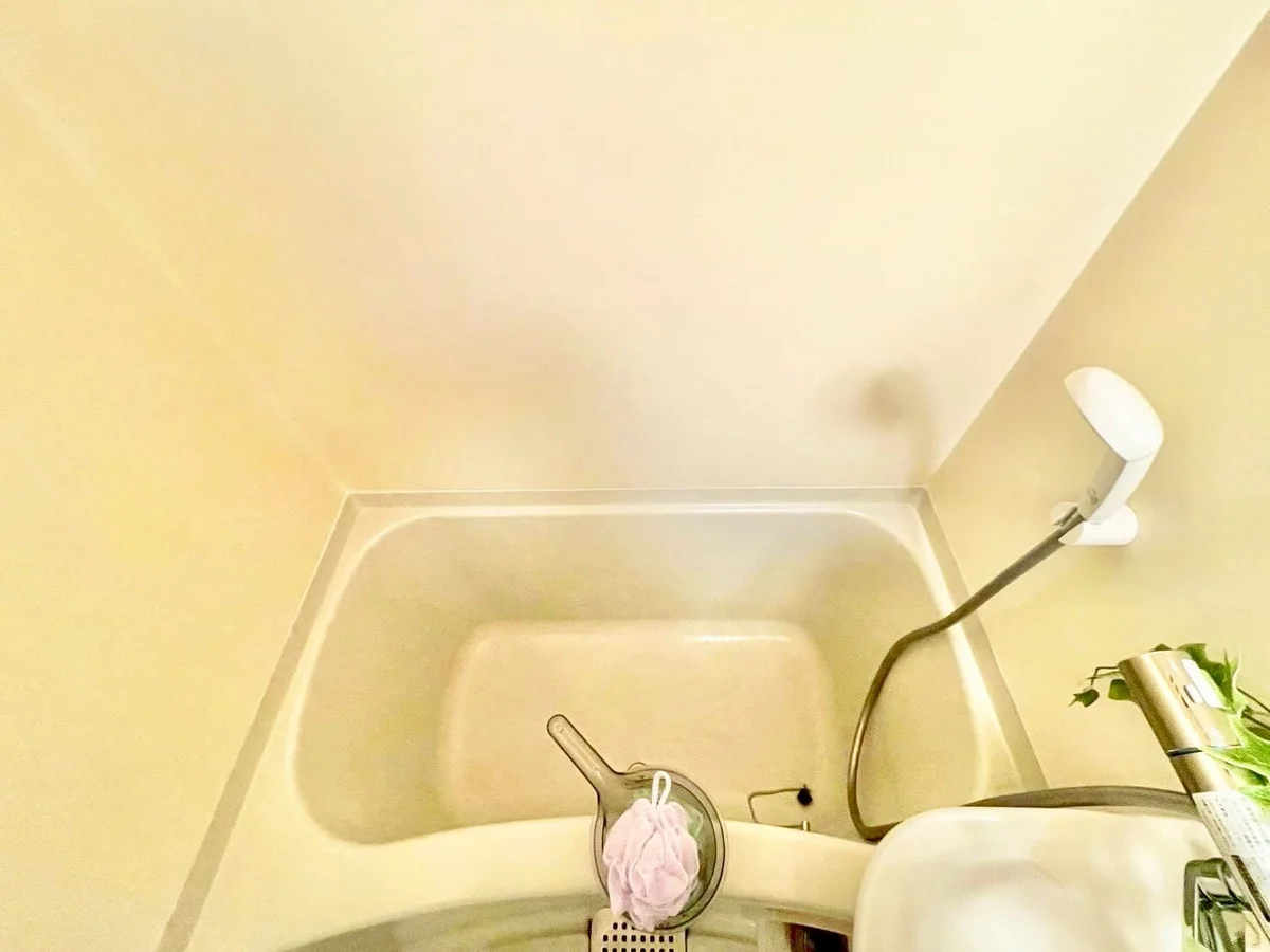 ※撮影用の観察植物・食器調理器具・雑貨類等はございません。※写真は現況優先