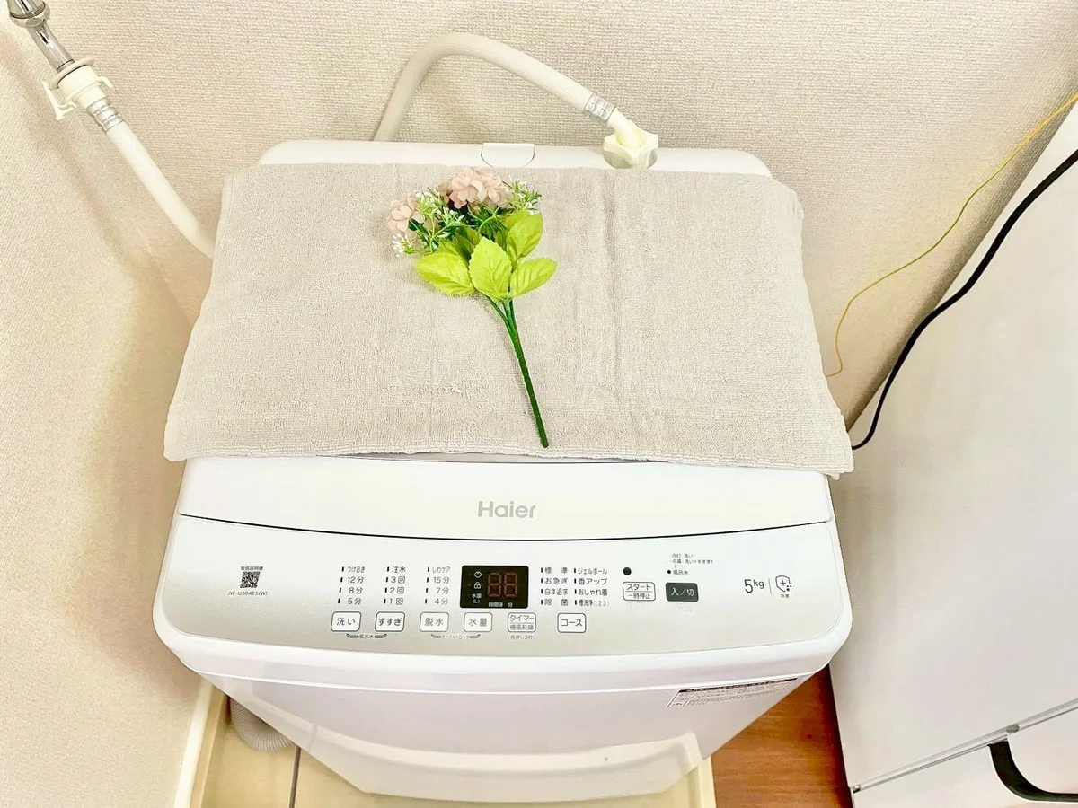 ※撮影用の観察植物・食器調理器具・雑貨類等はございません。※写真は現況優先