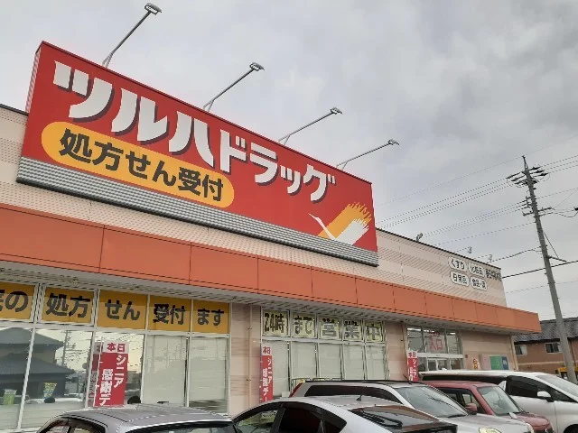 ツルハドラッグまで700m