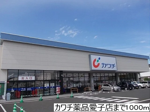 カワチ薬品愛子店まで1000m