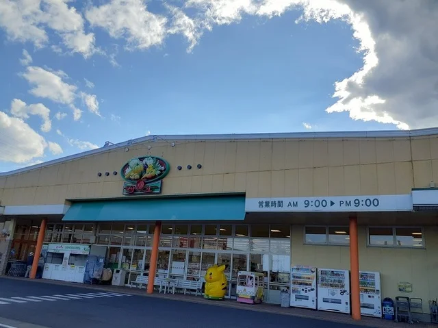 サンユー新鮎川店まで1100m