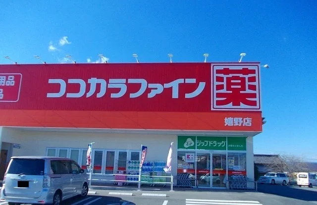 ココカラファインまで1500m