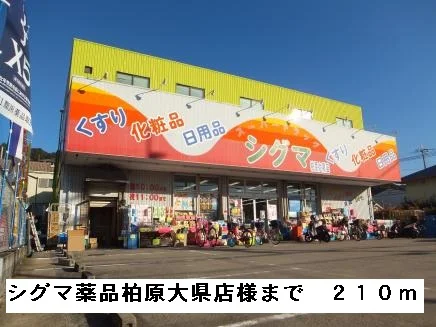 シグマ薬品柏原大県店様まで210m