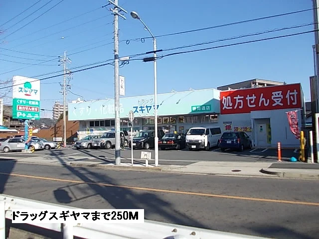 ドラッグスギヤマまで250m