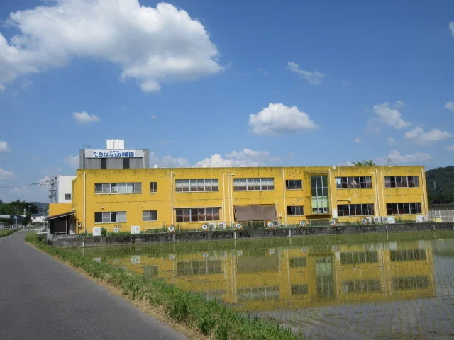 たちばな幼稚園まで770m