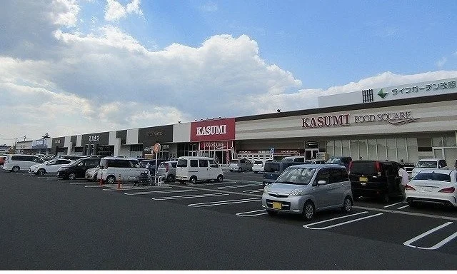 ライフガーデン茂原店まで3100m