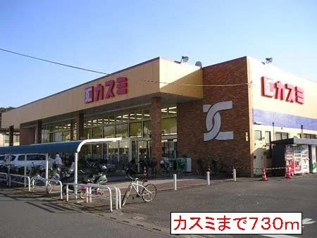 カスミまで730m
