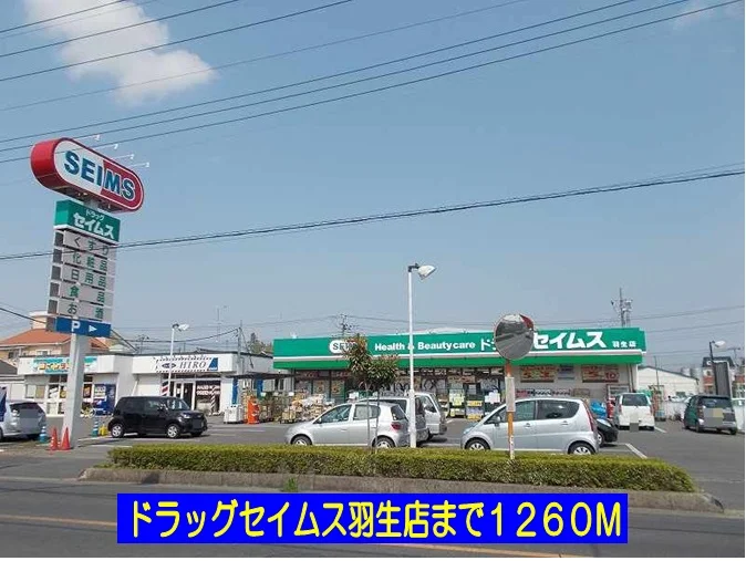 ドラッグセイムス羽生店まで1260m
