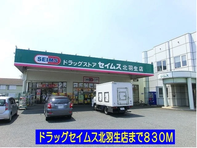 ドラッグセイムス北羽生店まで830m