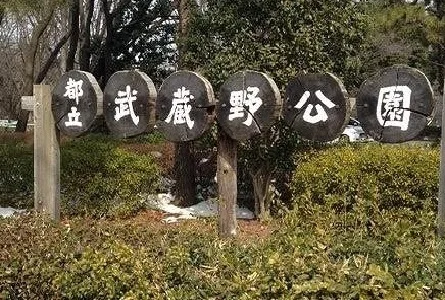 武蔵野公園まで100m