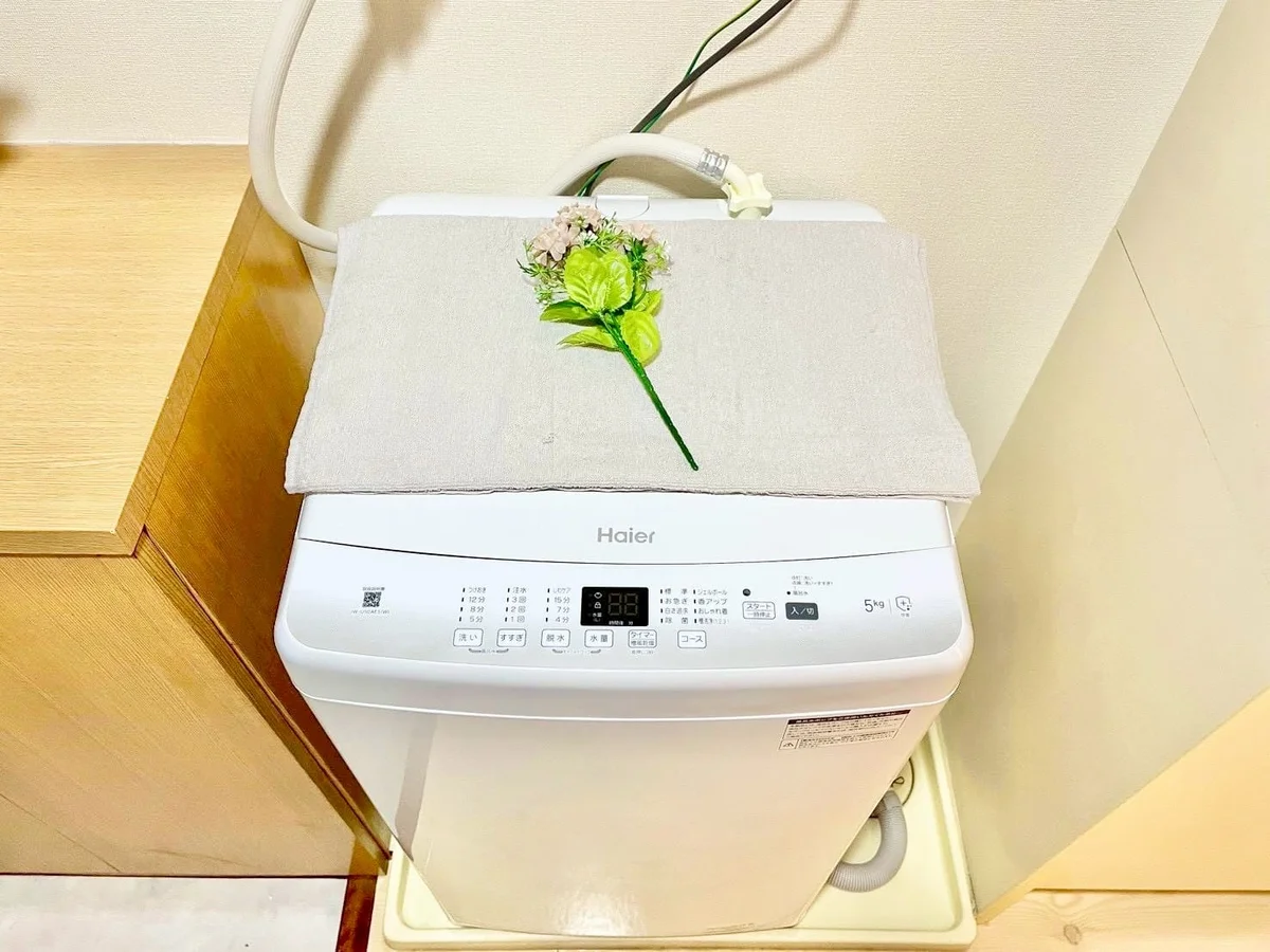 ※撮影用の観察植物・食器調理器具・雑貨類等はございません。※写真は現況優先