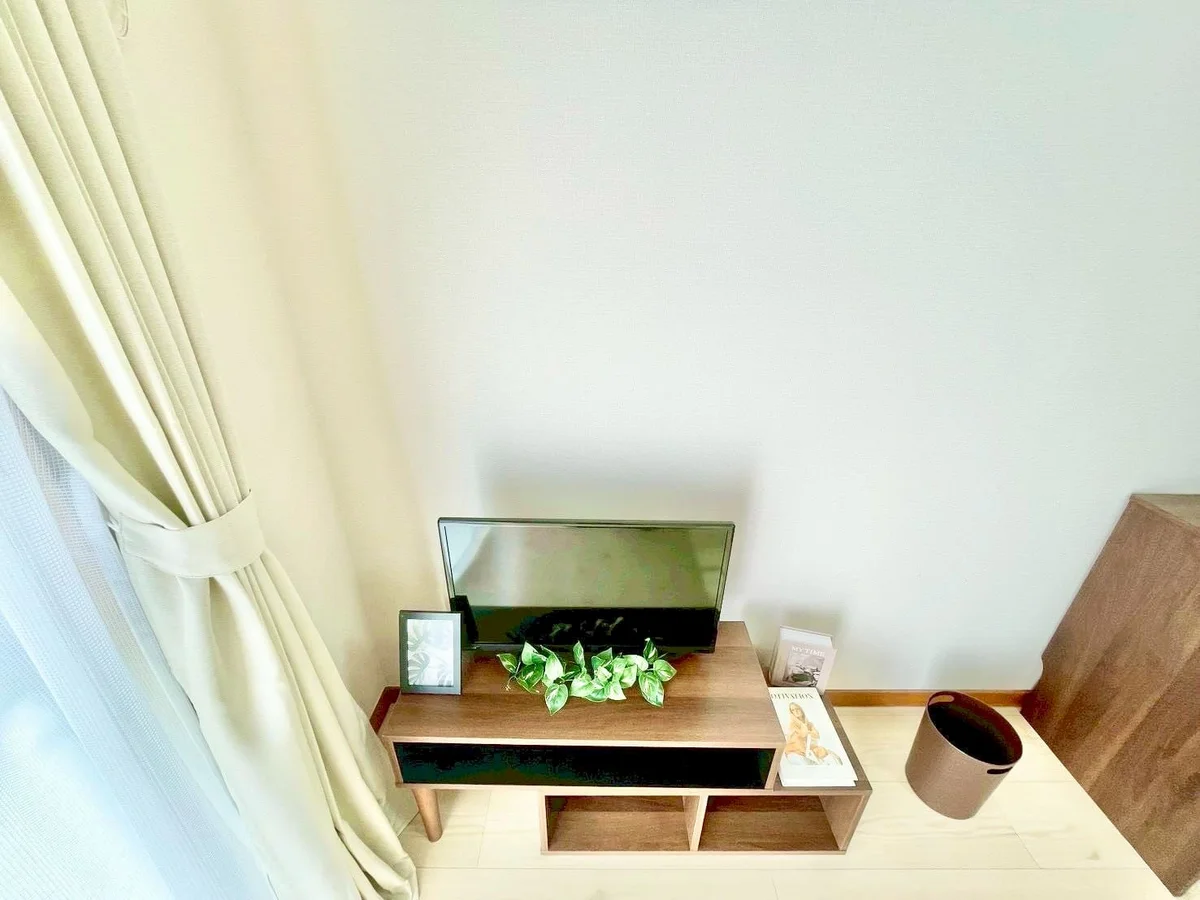 ※撮影用の観察植物・食器調理器具・雑貨類等はございません。※写真は現況優先