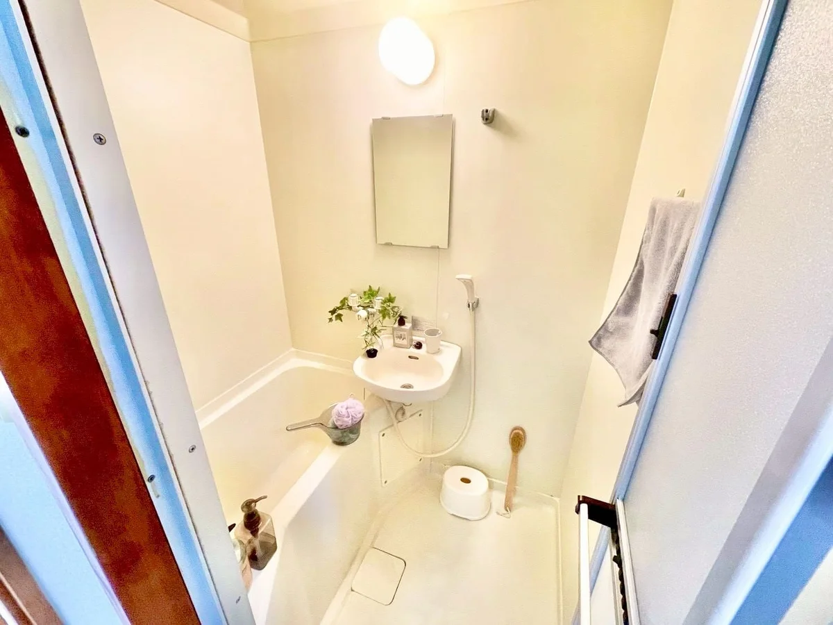 ※撮影用の観察植物・食器調理器具・雑貨類等はございません。※写真は現況優先